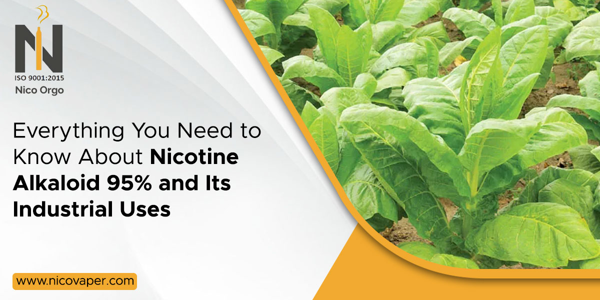 Everything You Need to Know About Nicotine Alkaloid 95% and Its Industrial Uses