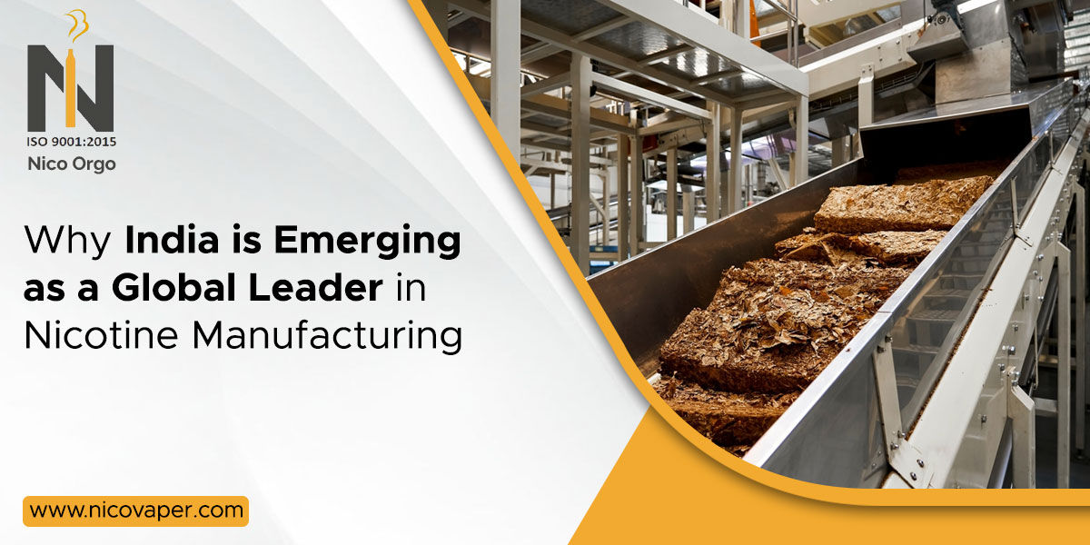 Why India is Emerging as a Global Leader in Nicotine Manufacturing